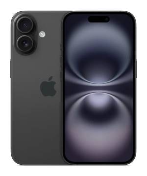 49629604