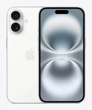 49629702