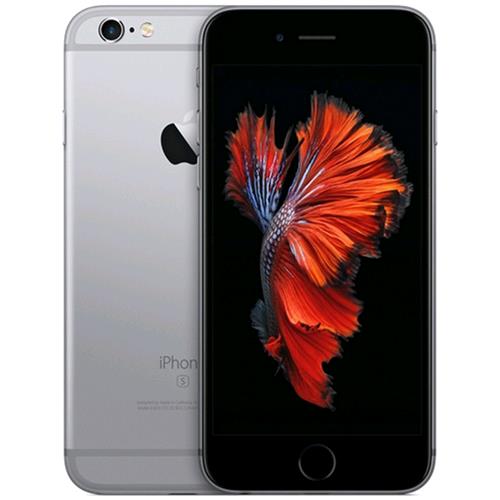49151551
