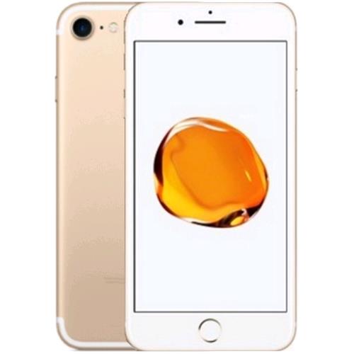 49151824